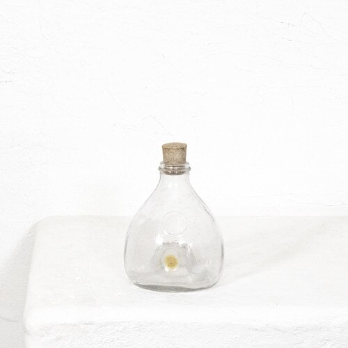 Glass Mosquito Catcher